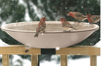 Pretty Functional Bird Baths The Wildbird General Store